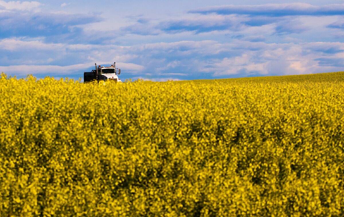 Canola deal with China welcomed by local producers