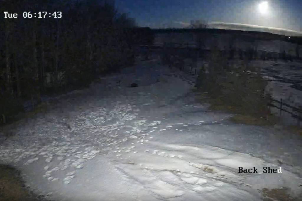 A fireball could be seen flying over Central Alberta on Tuesday, Feb. 10. (Submitted image)