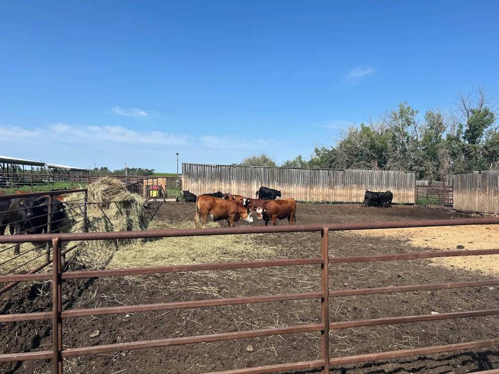 Farm groups and municipalities pressuring feds to reverse agricultural research cuts